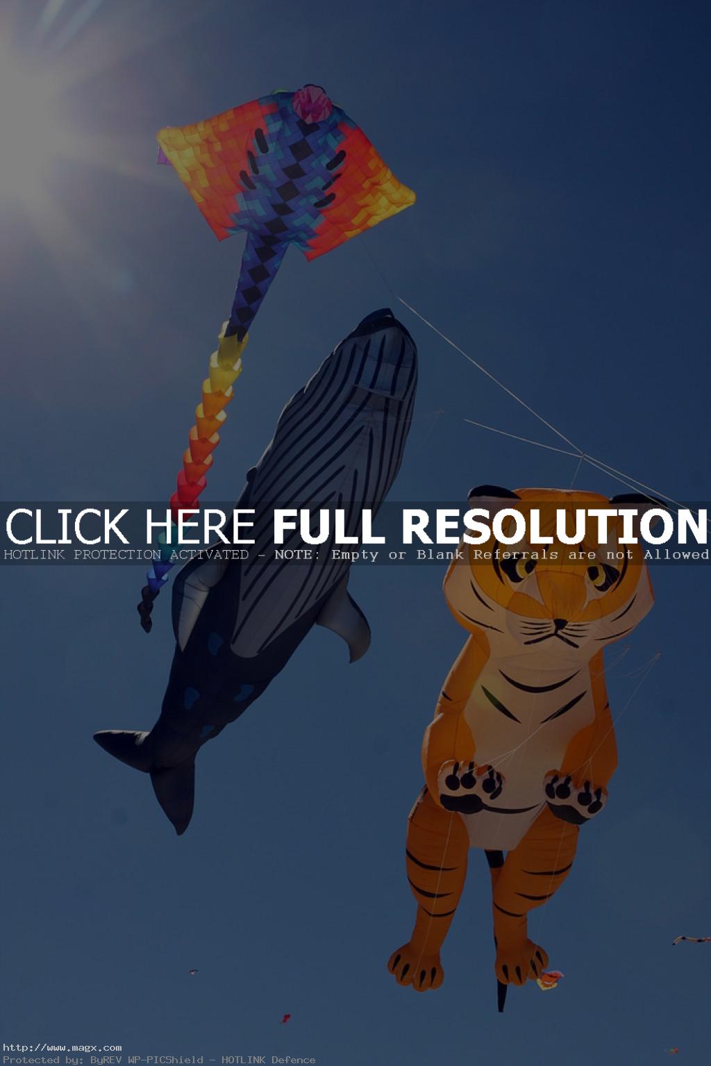 kite flying Festival of the Winds, Sydney