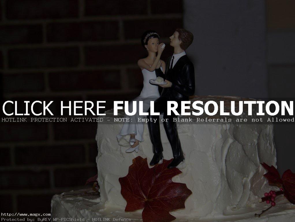 wedding cakes toppers3 Best Wedding Cake Toppers