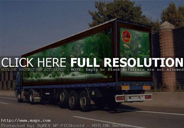 visual illusion4 Painted Optical Truck Illusions