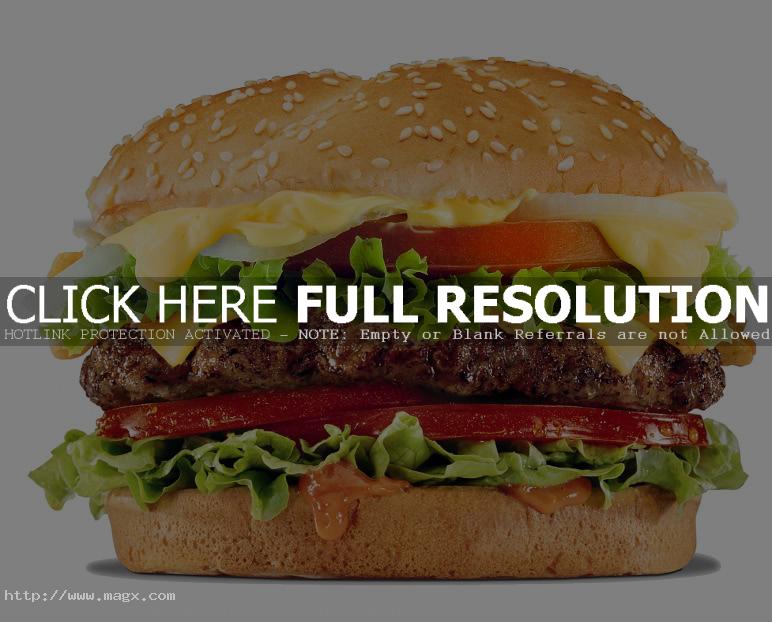calories hamburger Calories in Hamburger