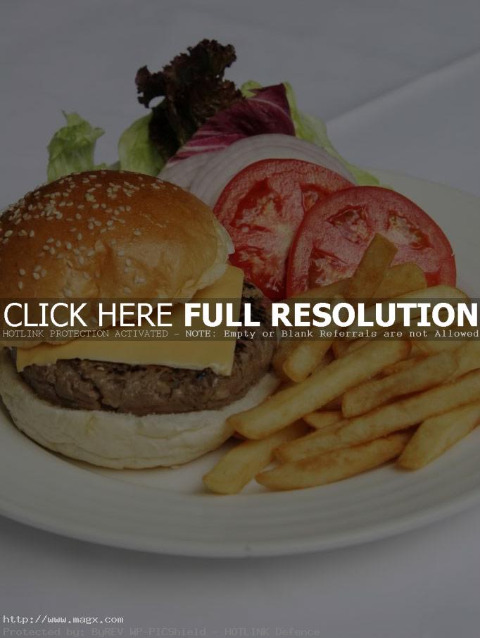 calories hamburger13 Calories in Hamburger