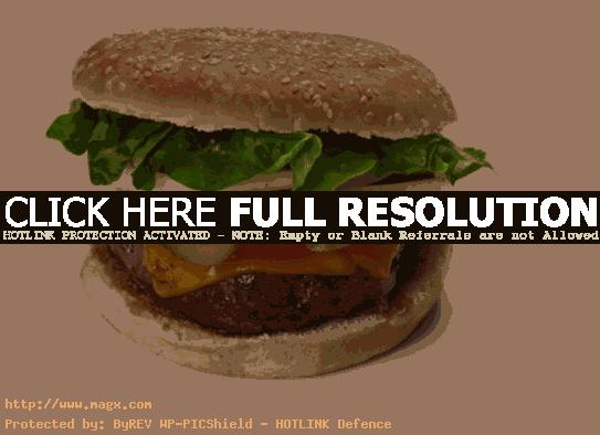 calories hamburger5 Calories in Hamburger