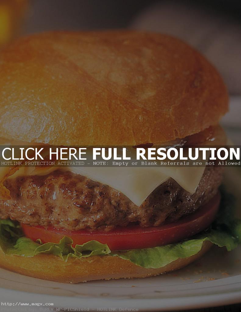 calories hamburger7 Calories in Hamburger