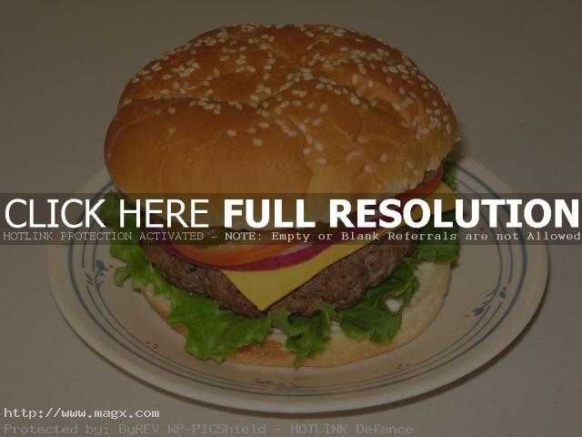 calories hamburger8 Calories in Hamburger