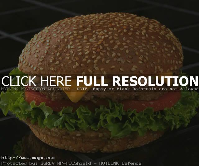 calories hamburger9 Calories in Hamburger