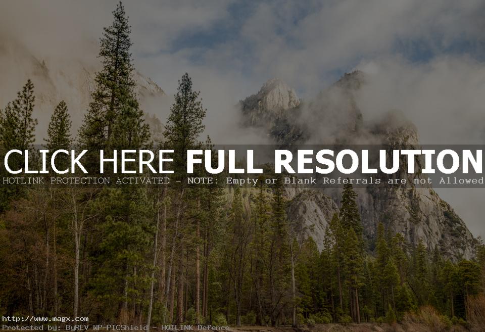 yosemite 201518 Best Shots of Yosemite National Park 2015