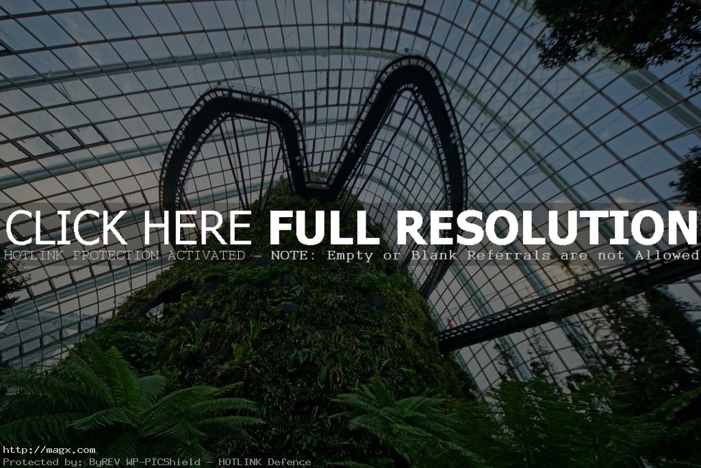 singapore garden6 Climate Controlled Botanical Gardens by the Bay in Singapore
