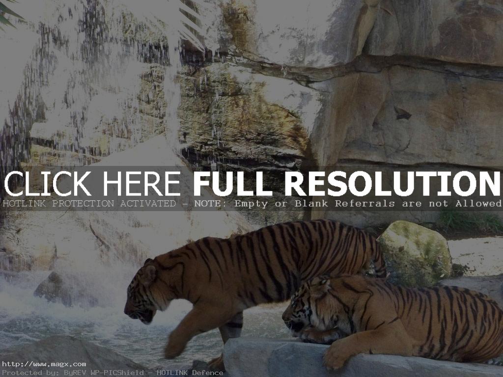 los angeles zoo14 Best Things to Do in Los Angeles ( L.A. Zoo )