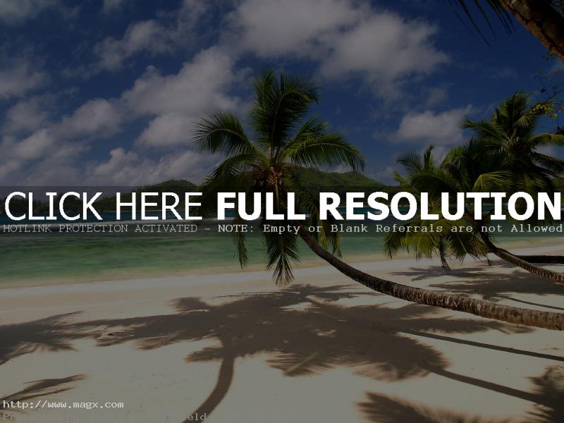 dream beach seychelles5 Exotic Dream Beach At Seychelles