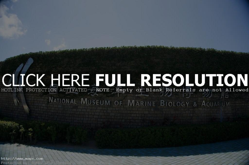 nmmba12 National Museum of Marine Biology and Aquarium, Taiwan