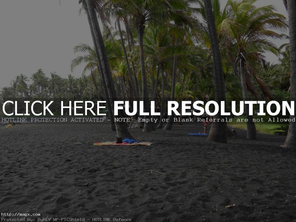 black beach10 Panuluu Hawaiian Black Sand Beach