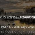 Beautiful Photos of Heron Pond, ...
